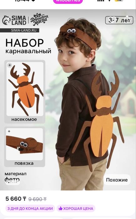 Костюм насекомого