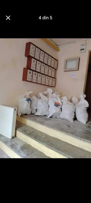 Fac debarasări în Timișoara