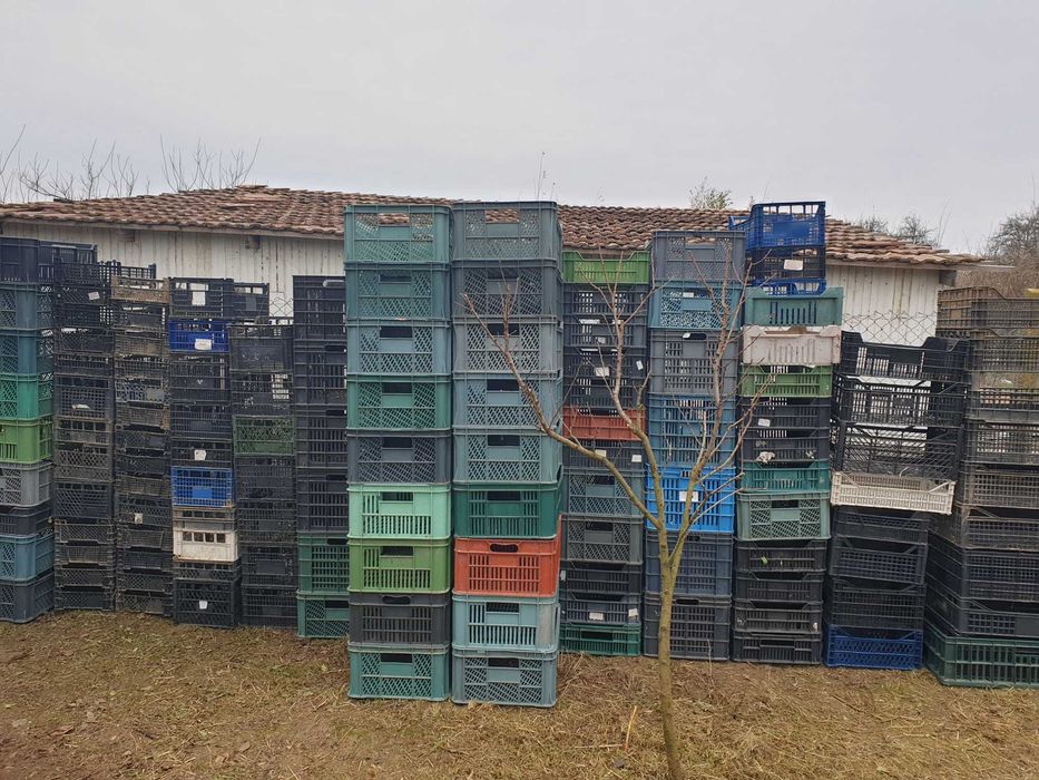 Lazi de lemn si plastic