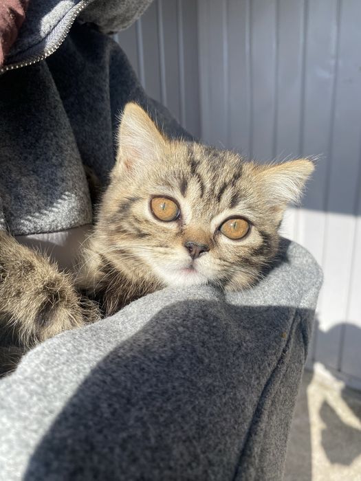 4 месячный мальчик