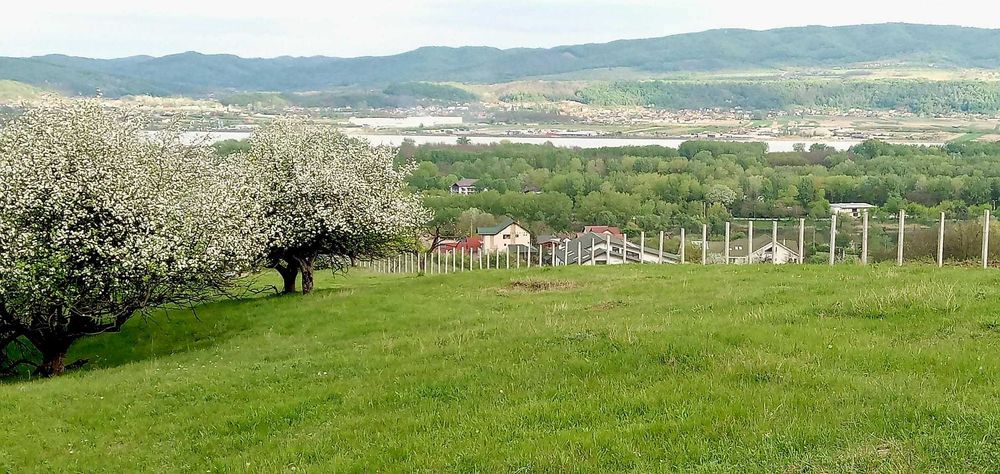 De vanzare teren intravilan 1000 mp - zona de exceptie