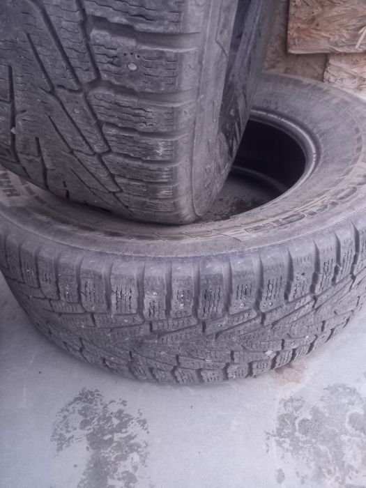 Зимний комплект Нокиан