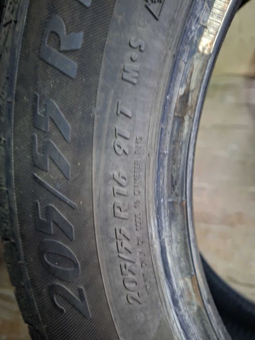 205 55 r 16 iarna