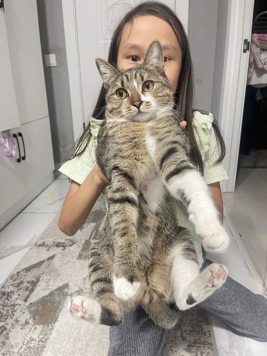 Одам бесплато в добрые руки