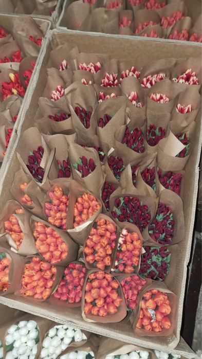 Тюльпаны по низкой цене