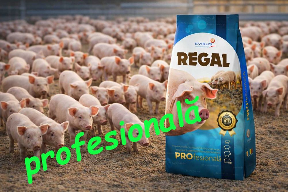 concentrat Regal purcei