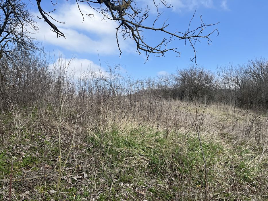 Стара  Българса  Къща