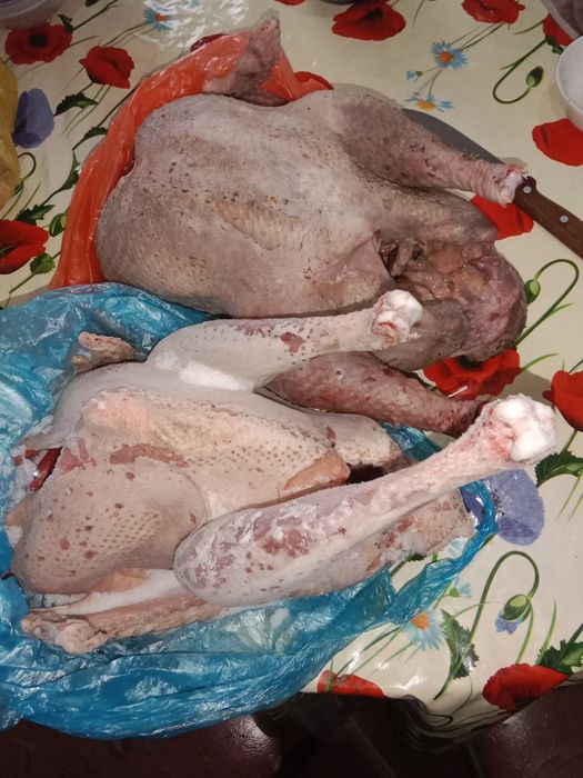 Үндік еті бар сатылатын