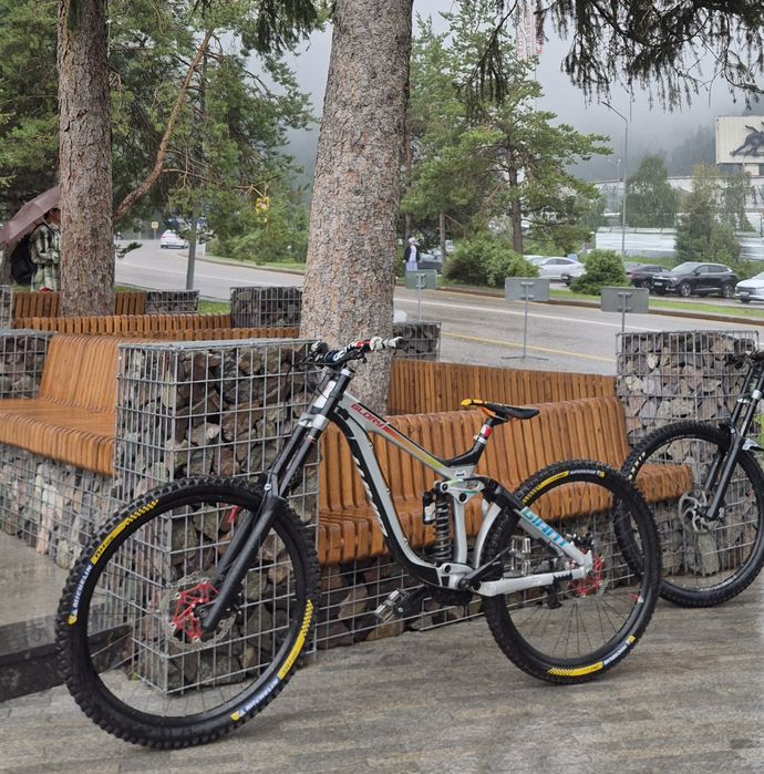 Giant  glory  carbon