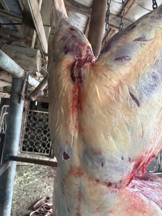 Байталдар сатылады даланын