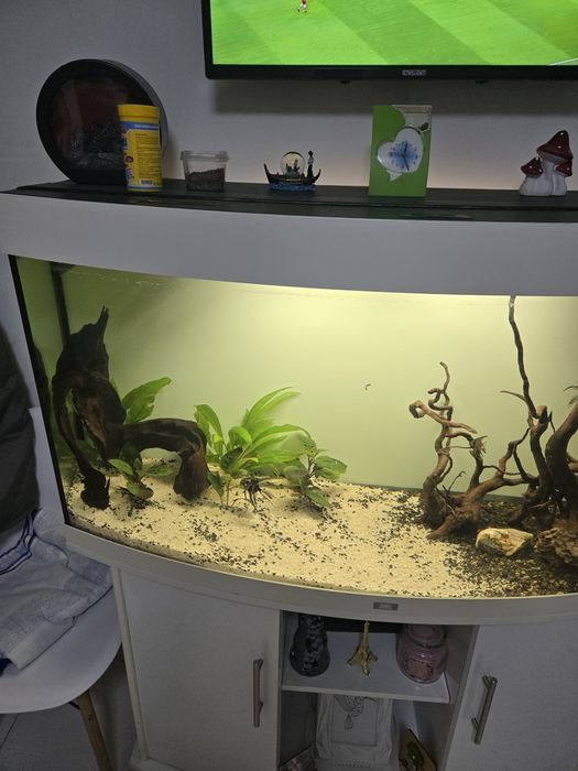 Acvariu Juwel Vision 260