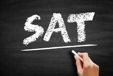 IELTS 8.0 & SAT 1400 Online Tutor