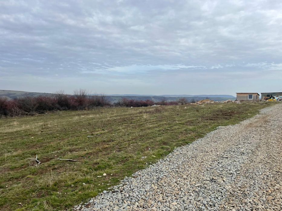 Teren intravilan parcelat Daia Noua