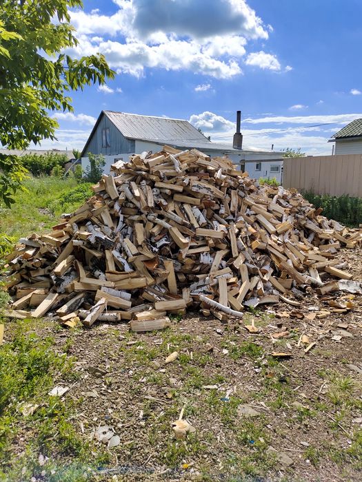 Продам дрова в мешках. Берёза.