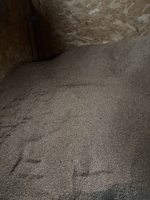 Grâu productie 2025