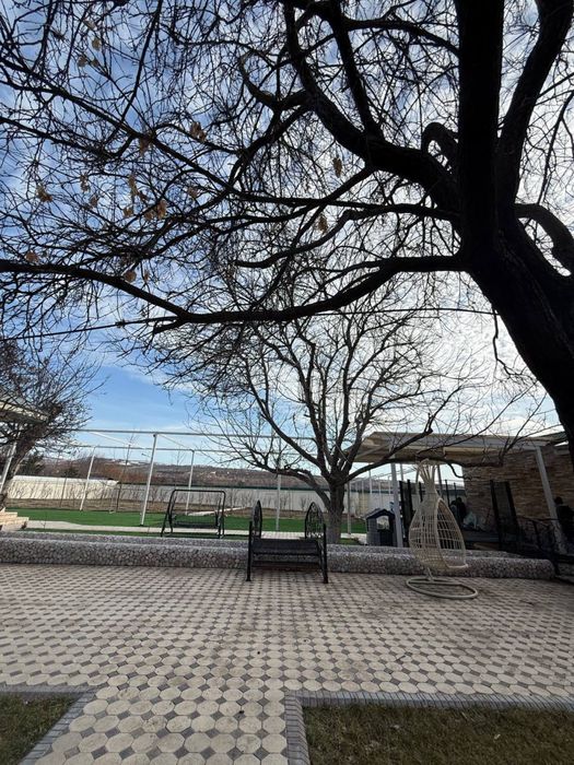 Бостонлик Туман Дача Срочно !