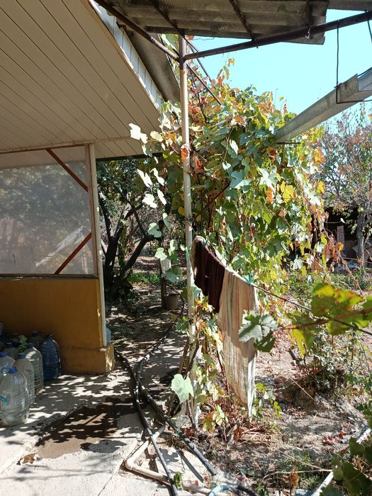 Продается дача Паркент