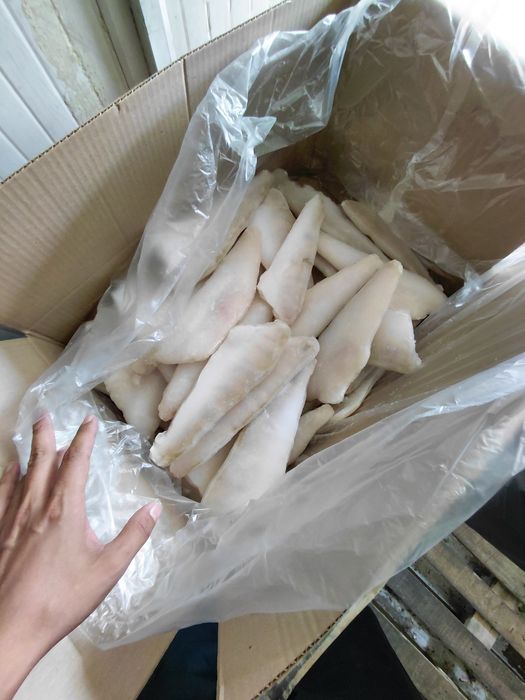 Судак филе Шардара 100%