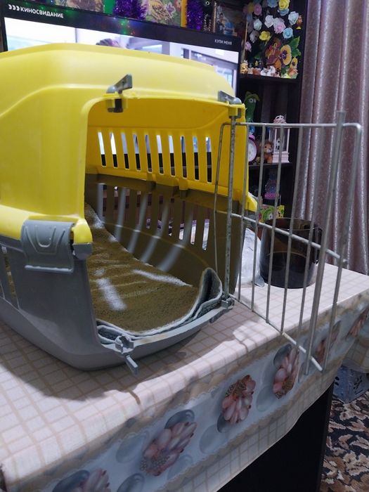 Переноска для кошек или маленьких собачек