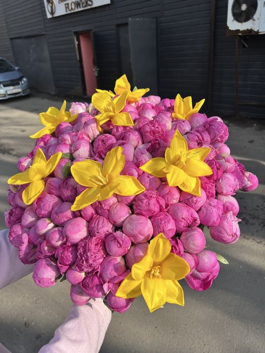 Букет из Пионов свежие