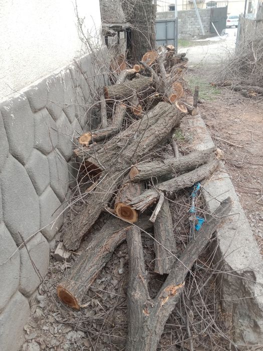 Дрова бесплатно всё