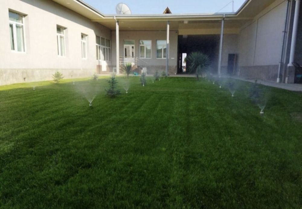 Посевной газон + рулон