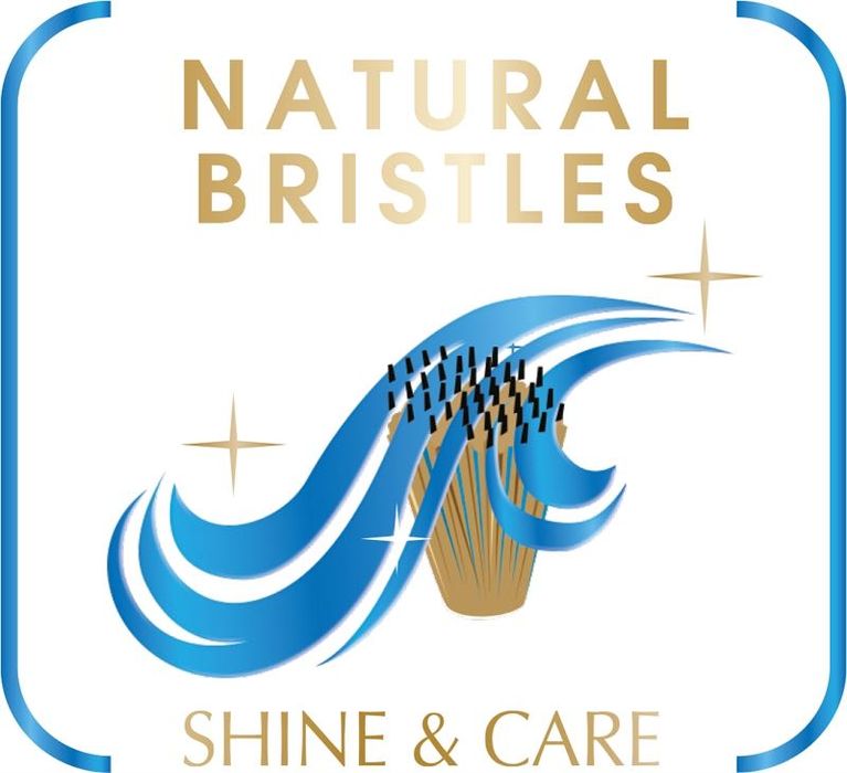 Perie rotativă Rowenta