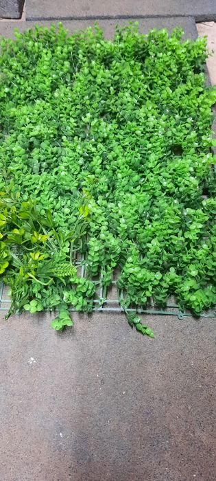 Зелёный забор для дома