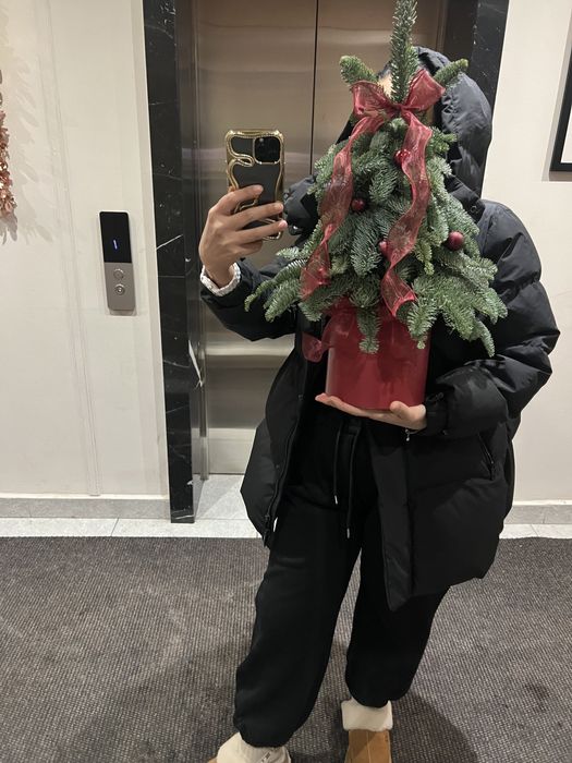 Нобилис банчами и готовые композиции