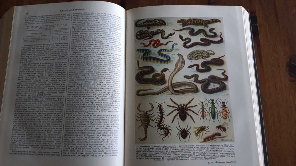 Большая советская енциклопедия - всички 51 тома 1949-1958г.