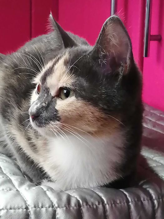 Бабочка, это её имя, уже 6 месяцев девочке.