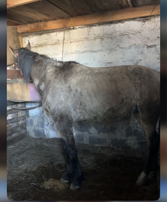 Продам машину Ауди 100