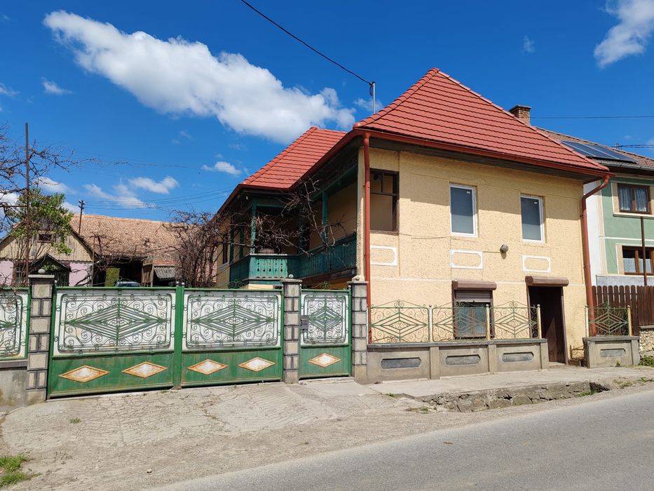 Casa familiala + spatiu comercial
