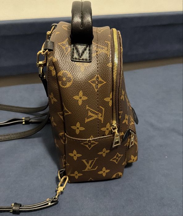Louis Vuitton Palm Springs Mini