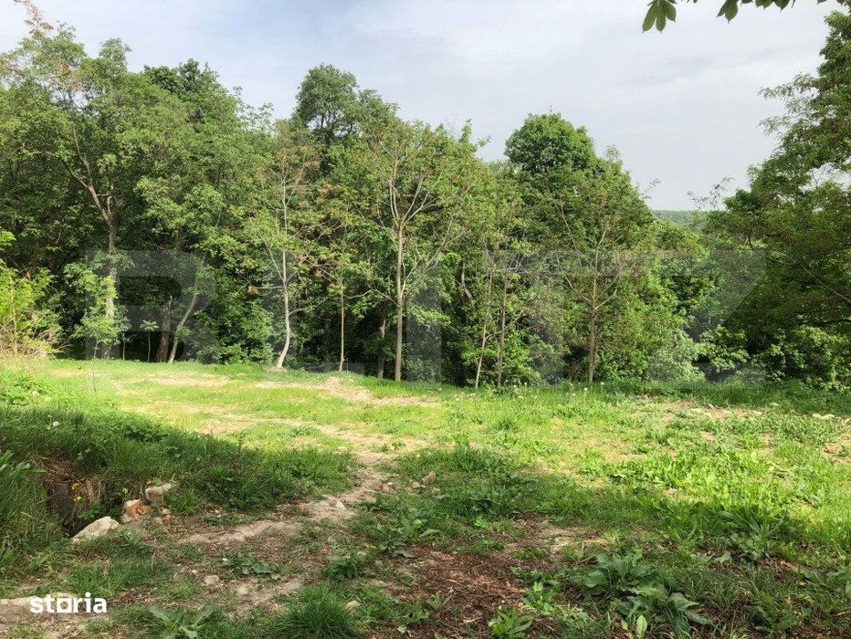 Teren intravilan, parcelat 7600+5700+1400, Manastirea Dealu