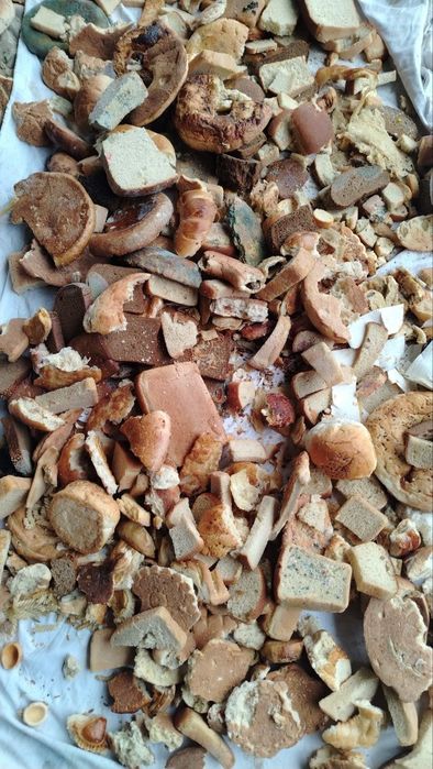 Mol va qoy uchun non