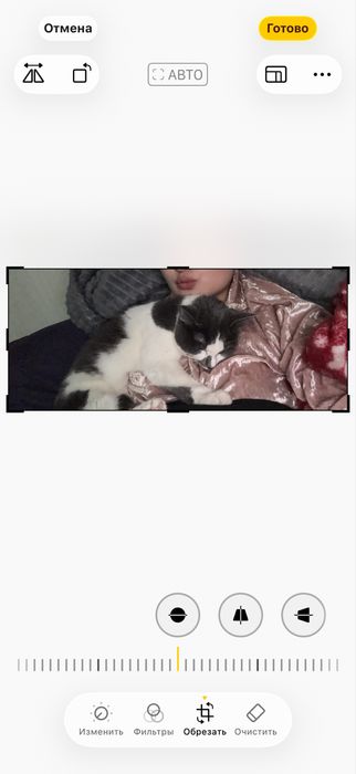Отдам котенка подсротка