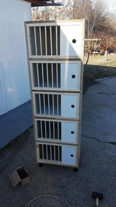 Rafturi , fete, Hrănitoare