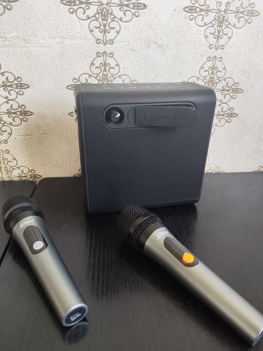 Колонка sing e zqs v100