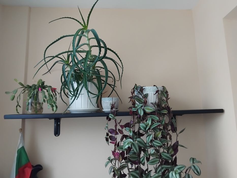 Кожена етажерка 140/25