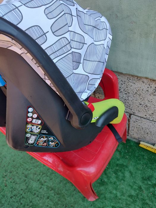 Cangaro Rachel столче