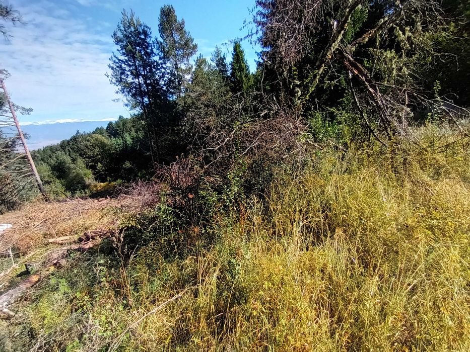 Продава се Земеделски имот в Банско -  кв.м за 40800 €/дка - Снимка #3