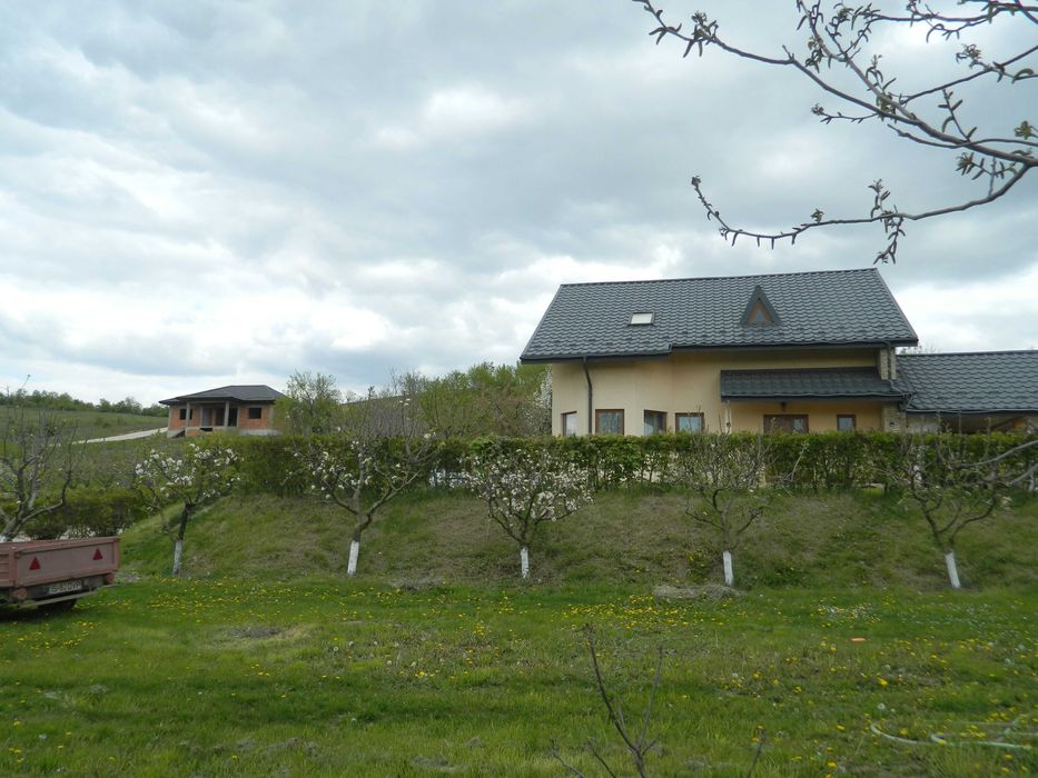 Teren Barnova, Cercu
