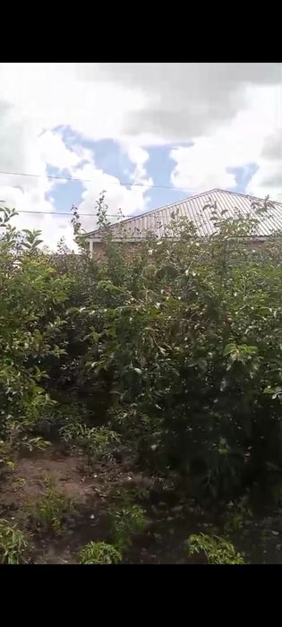 Продам дом в п. Карабалык