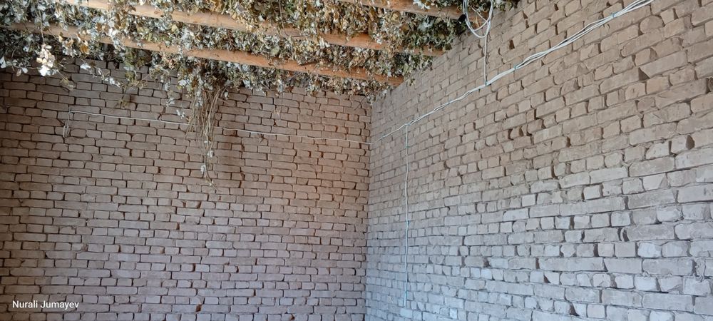 Elektr montaj ishlari bacharamiz