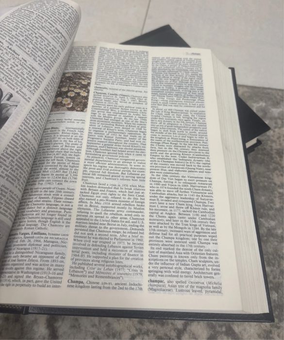 Enciclopedia Britannica primele 3 volume