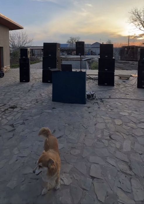 DJ Evenimente București-Ilfov | Pachete de la 1500 Lei