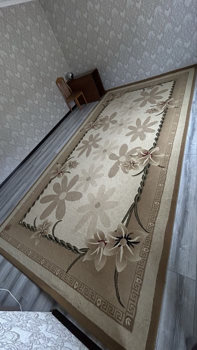 Ковер очень хороший 2,5х5