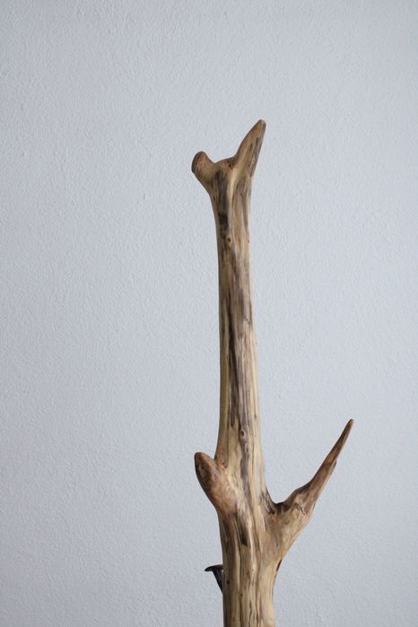 Закачалка "клон"