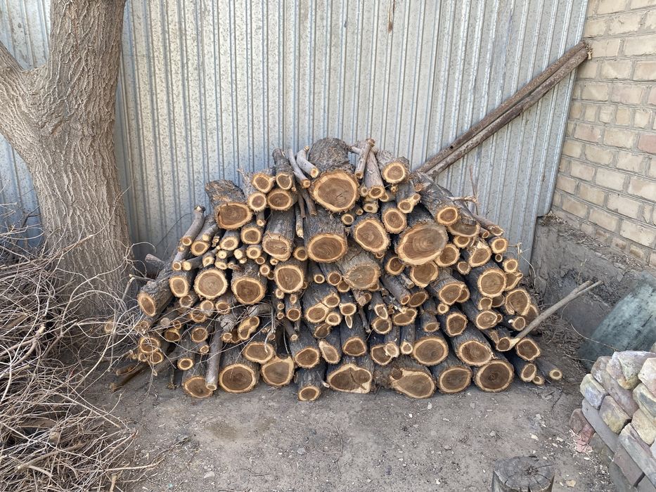 Агаш, дайын отын, дрова